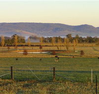 Holbrook Landcare Self-Drive Eco Tour - South Australia Travel