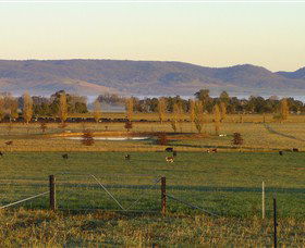 Holbrook Landcare Self-Drive Eco Tour - South Australia Travel 0