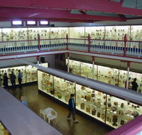 National Museum of Australian Pottery - South Australia Travel