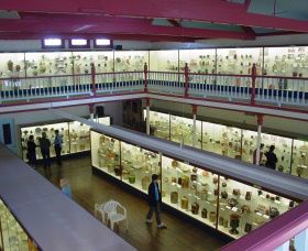 National Museum Of Australian Pottery - South Australia Travel 0
