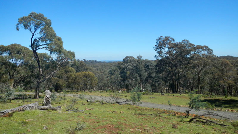 Hill End NSW South Australia Travel