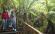 Otway Fly Treetop Adventures - thumb 0