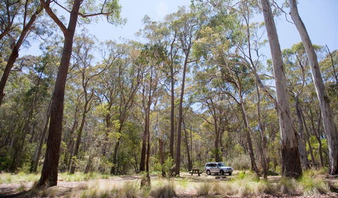 Coolah Tops National Park - South Australia Travel 0