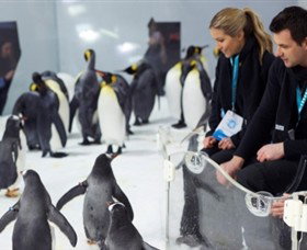 SEA LIFE Melbourne Aquarium - South Australia Travel 2