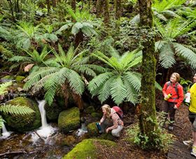  South Australia Travel