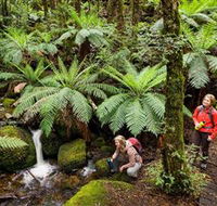 Baw Baw National Park - South Australia Travel