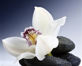 H2O Spa - South Australia Travel 1