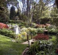 Windyridge Garden Mount Wilson - South Australia Travel