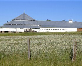 Deeargee Woolshed - South Australia Travel 0