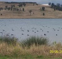 Lake Liddell Recreation Area - South Australia Travel