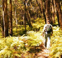 Federal Pass - South Australia Travel