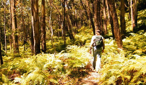 Federal Pass - South Australia Travel 0