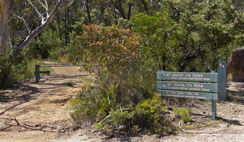 Mount Banks Road Cycle Route - South Australia Travel 1