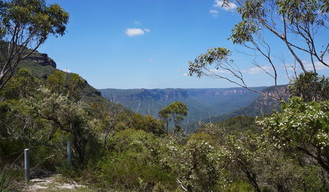 Mount Banks Road Cycle Route - South Australia Travel 2