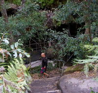 Leura Cascades Fern Bower - South Australia Travel
