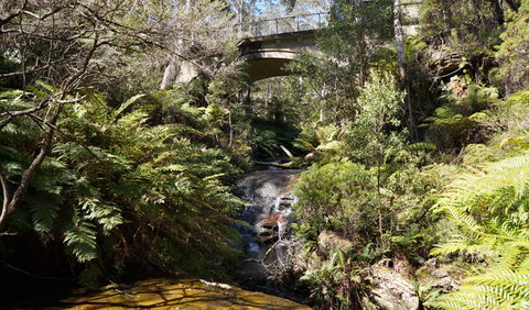 Leura Cascades Fern Bower - South Australia Travel 3