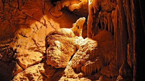 Wombeyan Karst Conservation Reserve - South Australia Travel 2