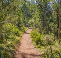 Mares Forest Creek walking track - South Australia Travel