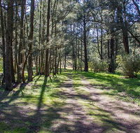 Wombeyan Waterfall walking track - South Australia Travel