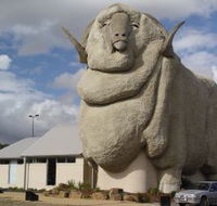 Big Merino - South Australia Travel