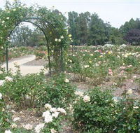 Victoria Park Rose Garden - South Australia Travel