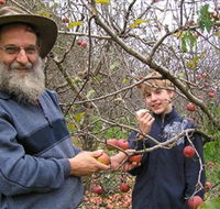 Pine Crest Orchard - South Australia Travel
