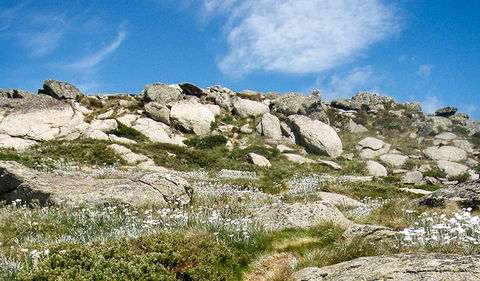 Mount Stillwell Walk - South Australia Travel 1