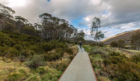 Thredbo Valley Track - South Australia Travel 0