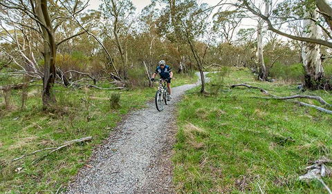 Thredbo Valley Track - South Australia Travel 1