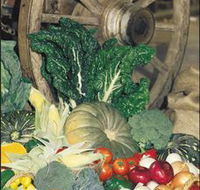 Mulgowie Real Farmers Markets - South Australia Travel