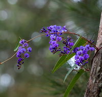 Mann River Nature Reserve - South Australia Travel