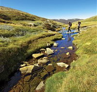 Australian Alps Walking Track - South Australia Travel
