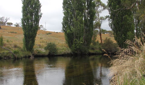 Thredbo River Picnic Area - South Australia Travel 3