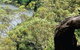 Heuston Lookout - thumb 0