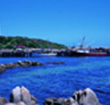 King Island Dairies - South Australia Travel