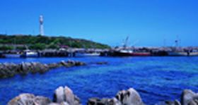 King Island Dairies - South Australia Travel 0