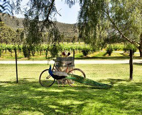 Stomp! Wines - South Australia Travel 3