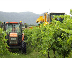 Stomp! Wines - South Australia Travel 8