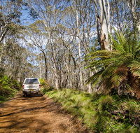 Barrington trail - South Australia Travel