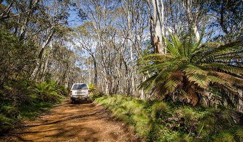 Barrington Trail - South Australia Travel 0