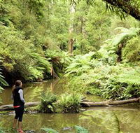 Morwell National Park - South Australia Travel