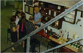 John Kosovich Wines - South Australia Travel 1