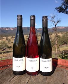 Dryridge Estate - South Australia Travel 2