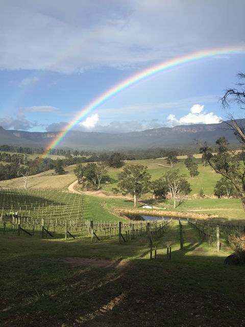 Dryridge Estate - South Australia Travel 4
