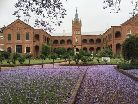 Sacred Spaces At The Sisters Of Mercy Convent - South Australia Travel 12