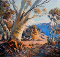 Kunama Snowy Mountains Centre for the Arts - South Australia Travel
