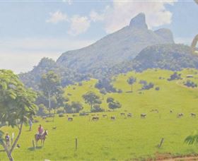 Aitkens Australia In The Round - South Australia Travel 2