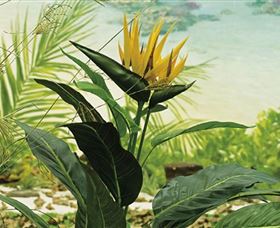 Aitkens Australia In The Round - South Australia Travel 0