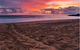 Mon Repos Beach - thumb 0
