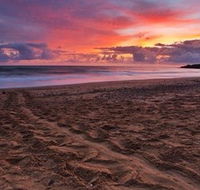 Mon Repos Beach - South Australia Travel